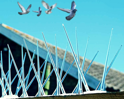 Bird Spike