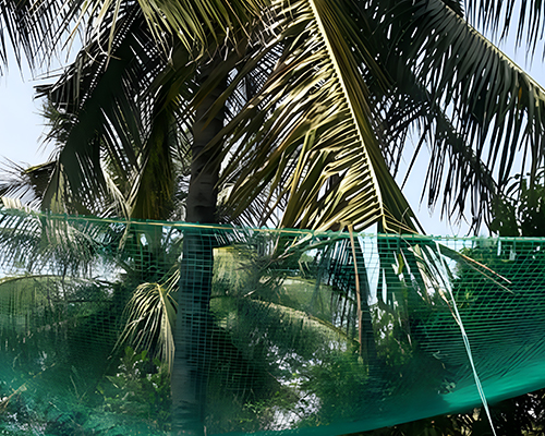 Coconut Net
